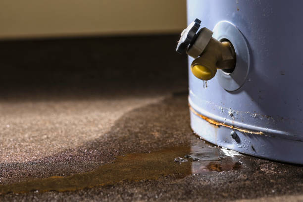 Best Mold removal after water damage  in Kingstown, MD