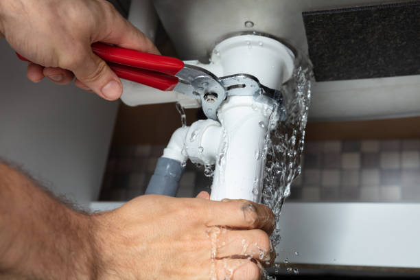 Best Flooded house restoration  in Kingstown, MD