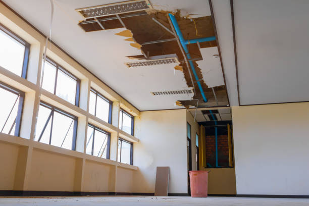Best Water damage cleanup near me  in Kingstown, MD