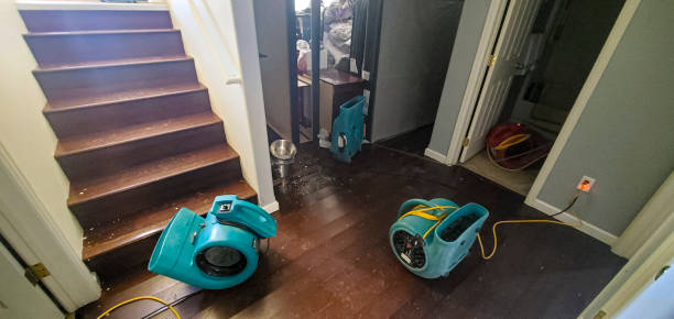 Best Fire Damage Restoration  in Kingstown, MD