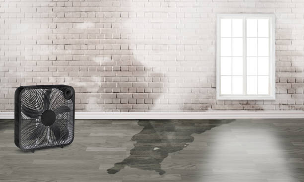 Best Water damage repair service  in Kingstown, MD