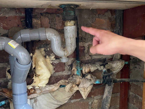 Best Flood damage cleanup  in Kingstown, MD