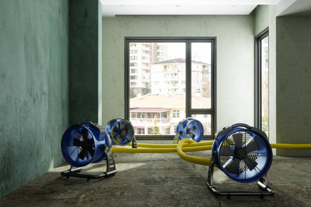 Best Water damage restoration services  in Kingstown, MD