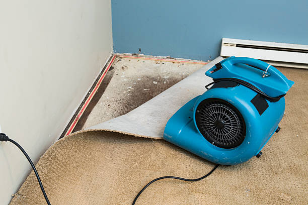 Best 24/7 water damage repair  in Kingstown, MD